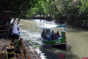 Pengembangan ekowista mangrove Muaragembong jadi skala prioritas