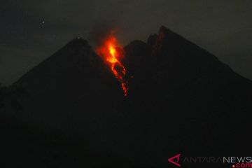 Gunung Merapi luncurkan guguran lava Selasa dini hari