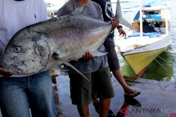 Cuaca Buruk Sebabkan Kenaikan Harga Ikan