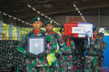 Tekad Indonesia bangun Papua kendati nyawa jadi taruhan