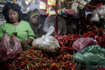 Kementan bantah harga cabai di Demak anjlok