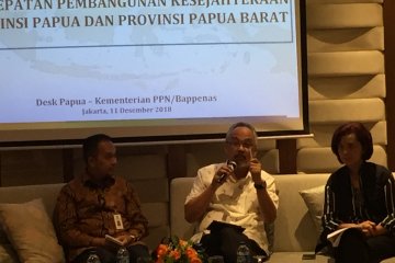 Bappenas nilai infrastruktur tulang punggung penggerak ekonomi Papua