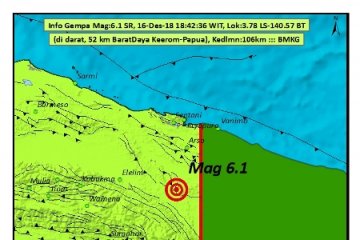 BMKG: gempa Jayapura tidak berpotensi tsunami