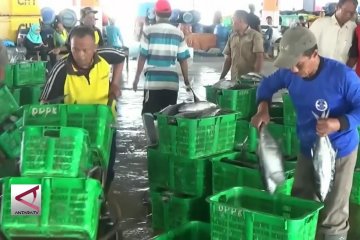 Pekalongan kekurangan pasokan ikan laut