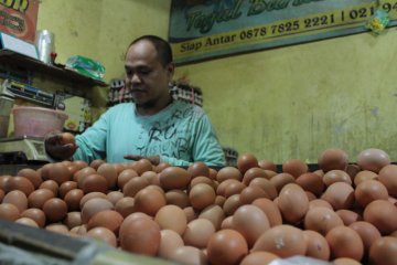 Harga telur di Jakarta mulai naik jelang Natal-Tahun Baru