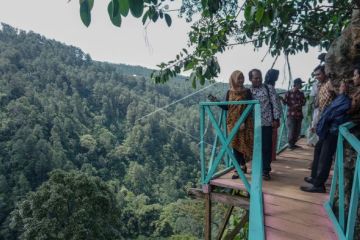 Wisata rumah pohon