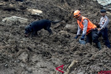 15 korban banjir bandang Kabupaten Jayapura ditemukan dengan bantuan anjing pelacak Tim K-9