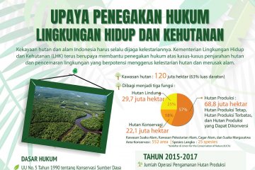 Penegakan hukum lingkungan hidup dan kehutanan