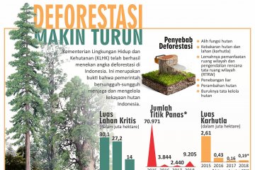 Deforestasi makin turun