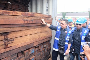 Gakkum KLHK amankan 384 kontainer kayu ilegal asal Papua