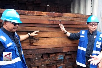KLHK amankan ratusan kontainer kayu ilegal