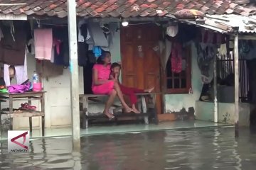 Pengungsi Banjir Pekalongan capai 3000 jiwa