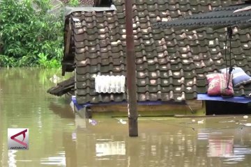 2 Perkampungan di pandeglang terendam banjir