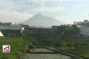 Puncak merapi terus keluarkan guguran lava pijar