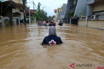 Tambang, alih fungsi hutan memperbesar dampak banjir Sulawesi Selatan