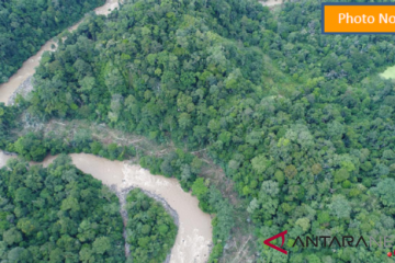 Peneliti: perlu hutan buatan dorong interaksi Orangutan Tapanuli