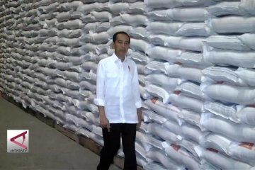 Ke Gudang Bulog, presiden pastikan stok beras