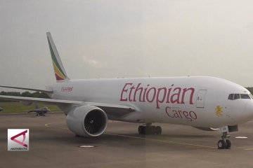 TNI AU paksa turun pesawat kargo Ethiopia