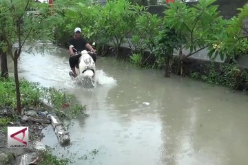 BMKG kembangkan teknologi pendeteksi banjir rob