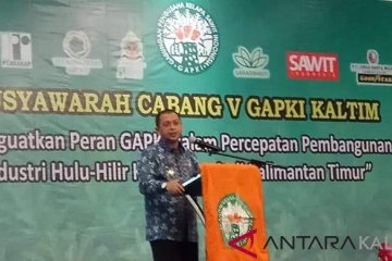 Perusahaan sawit diminta bantu listrik masuk desa