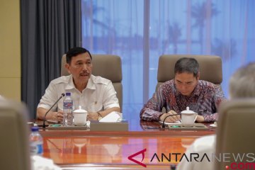 Kepada investor asing, Luhut: Pengembangan kawasan industri harus gandeng lokal