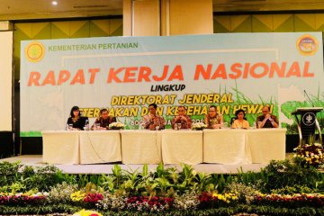 Kementan distribusikan 20 juta ayam-itik kepada 400.000 keluarga miskin