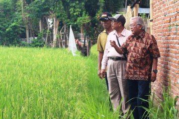 Legislator ingatkan pemerintah segera bentuk Badan Pangan Nasional