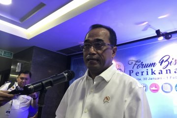 Kemenhub akan susun peraturan menteri tentang bagasi berbayar