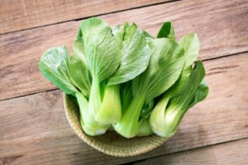 Manfaat bok choy, obati anemia hingga diabetes