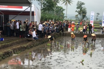 Presiden ajak ngobrol petani Garut di pinggir sawah