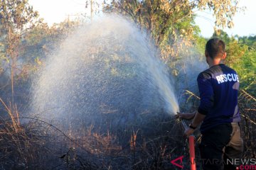 DLHK Aceh bentuk masyarakat peduli api