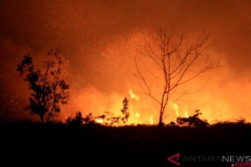 Kebakaran lahan gambut di Aceh Barat meluas