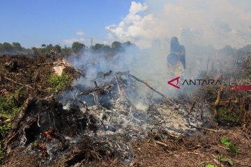 2 ha lahan di Aceh terbakar diduga akibat puntung rokok