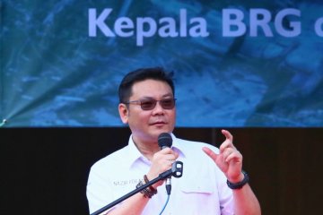 BRG bantah realisasi restorasi gambut Riau di bawah 10 persen