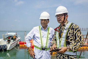 IPC akan ikuti proses dari pemerintah terkait Pelabuhan Patimban