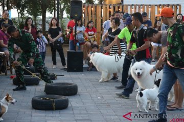 Melatih kepatuhan anjing