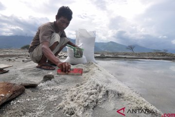 LIPI dorong penghitungan lahan pertanian hilang di Palu