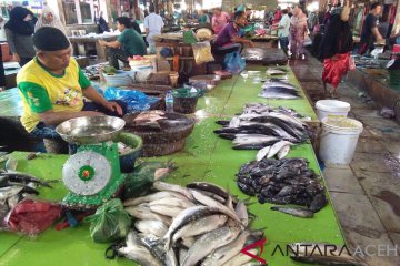 Pemerintah perkirakan harga ikan relatif stabil pada Ramadhan-Lebaran