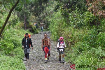 Pencarian pendaki hilang di Gunung Lawu dihentikan