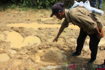 Gajah masuk perkampungan rusak tiga rumah