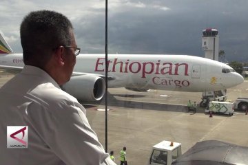 Akhirnya pesawat kargo ethiopia diizinkan terbang