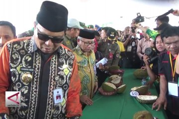 Mencari durian unggul di antara buah eksotis