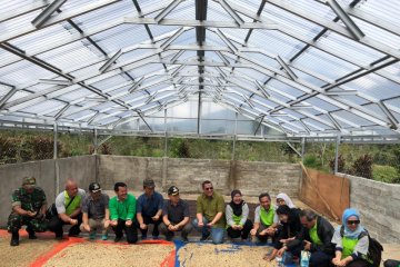 Kopi Kerinci tembus pasar internasional