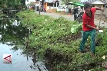 Jakarta Selatan wilayah terjangkit DBD terbanyak