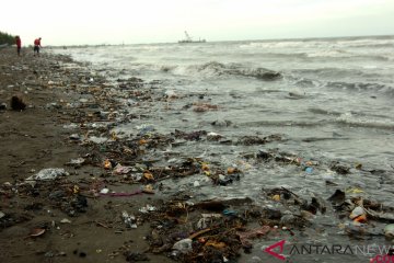 Buang sampah sembarangan di Biak dikenai sanksi Rp10 juta