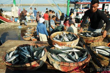 KKP minta masyarakat terdampak tsunami tak ragu konsumsi ikan