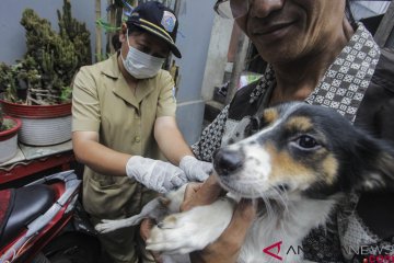 Vaksinasi rabies untuk hewan peliharaan