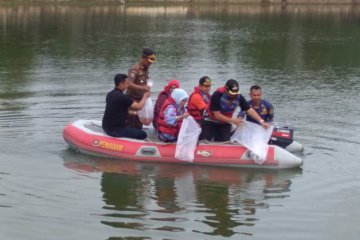 Jaksel tebar 100 ribu benih ikan nila di Danau Cavalio