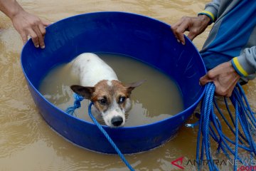 Perumahan di Makassar terendam banjir