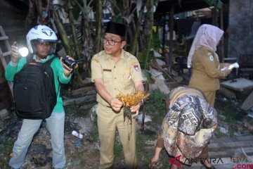 Polisi tunggu hasil Labfor Sate Padang daging babi